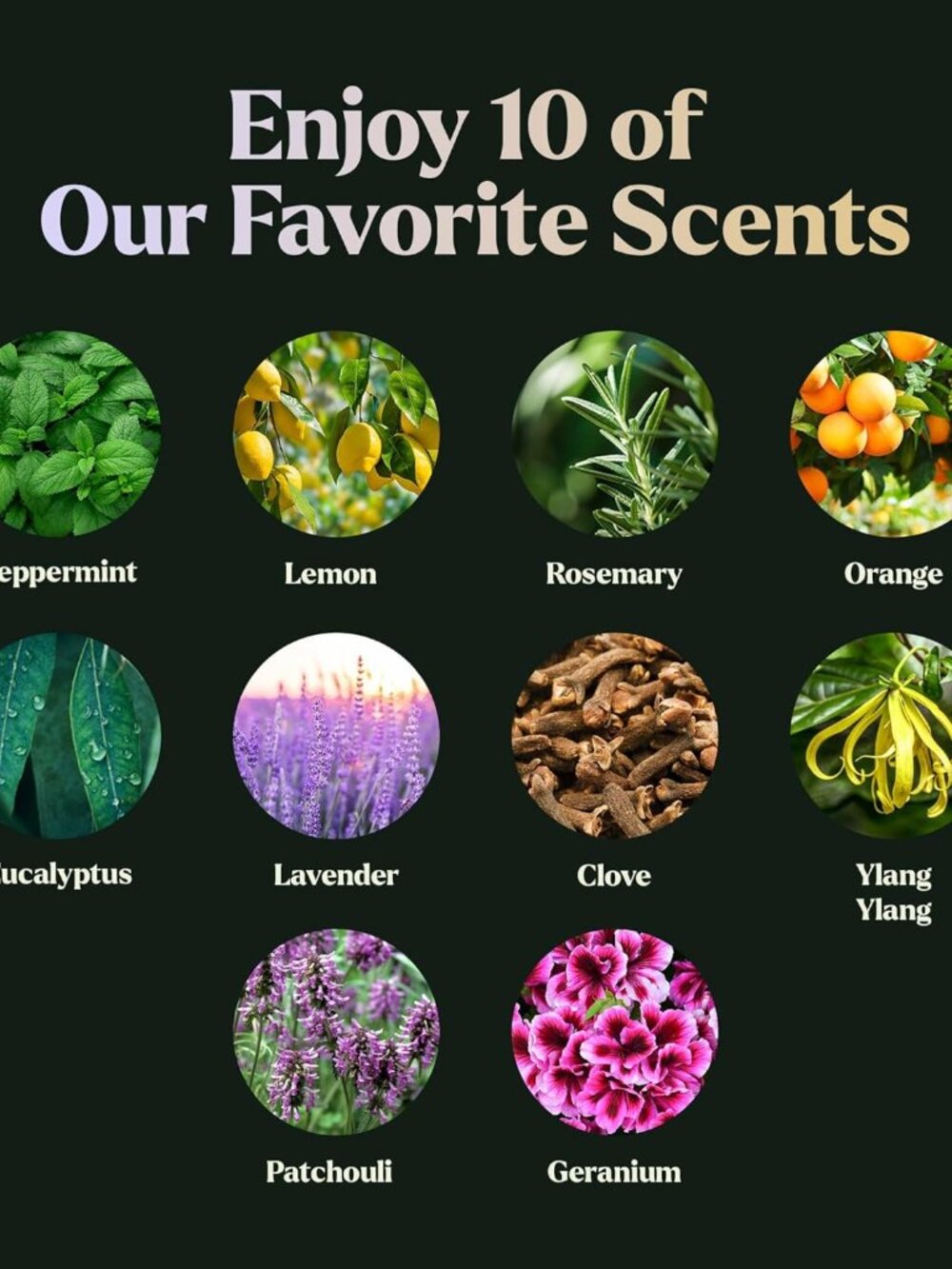 Essential Oils Set - Top 10 Gift Set Blends for Fragrance, Diffusers, Humidifier - Picture 5 of 7